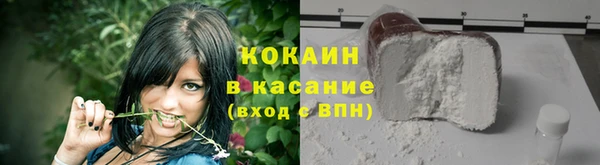гашик Осташков