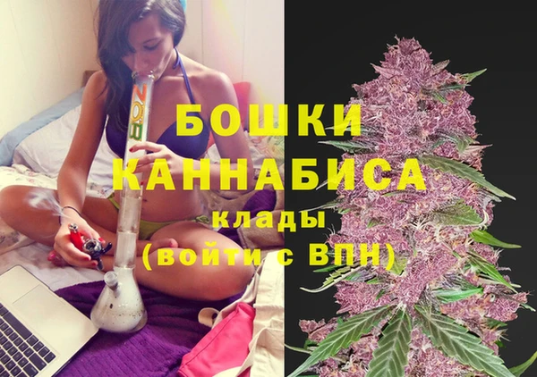 молекула духа Осинники