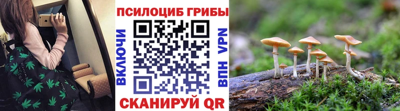 мега зеркало  площадка официальный сайт  Галлюциногенные грибы мухоморы  Микунь 