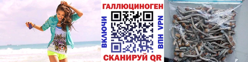 Галлюциногенные грибы Magic Shrooms Микунь